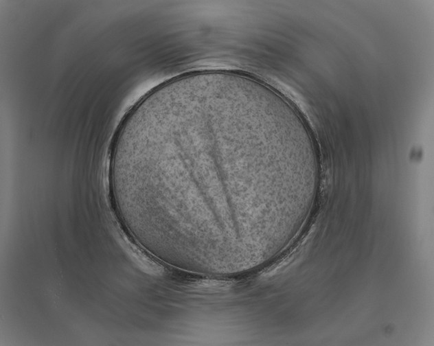 X0000094451179200712061154