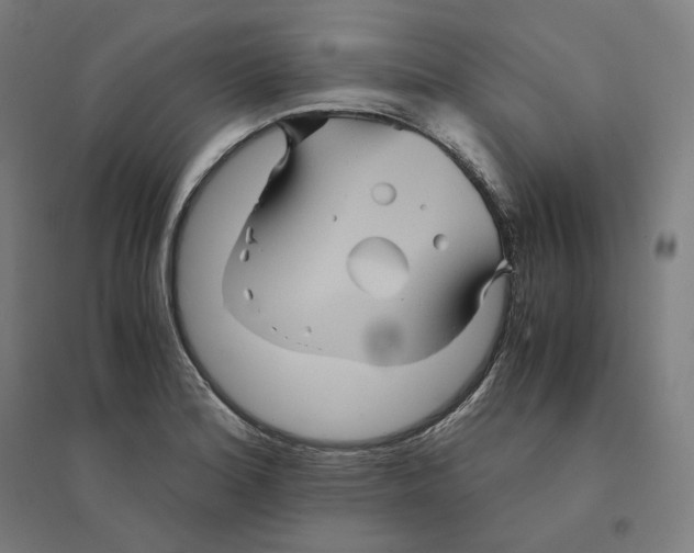 X0000094451180200712061154