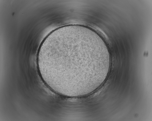 X0000094451182200712061154