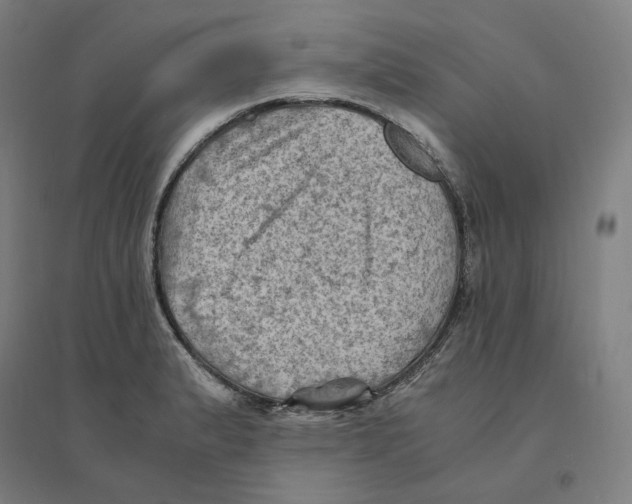 X0000094451183200712061154