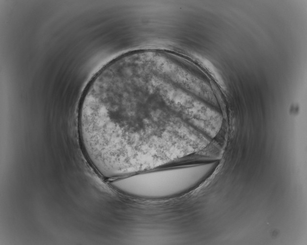 X0000094451184200712061154