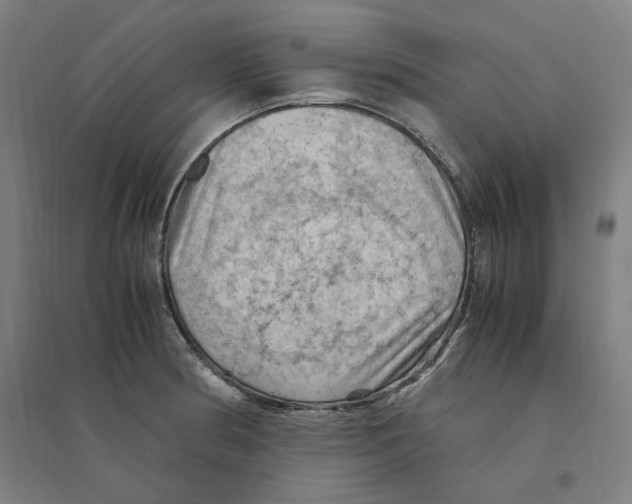 X0000094451186200712061154