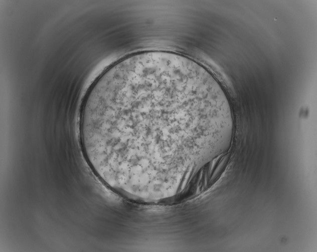 X0000094451188200712061154