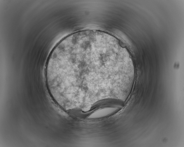 X0000094451190200712061154