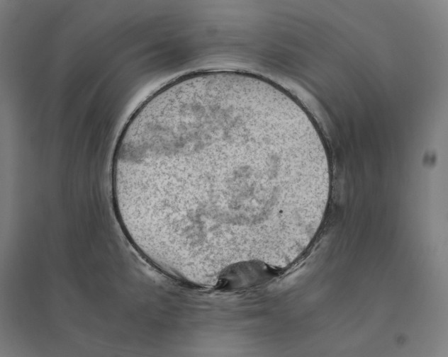 X0000094451191200712061154