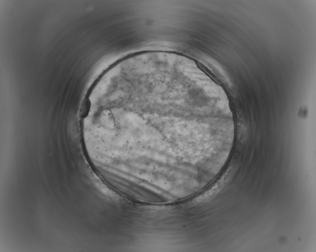 X0000094451192200712061154