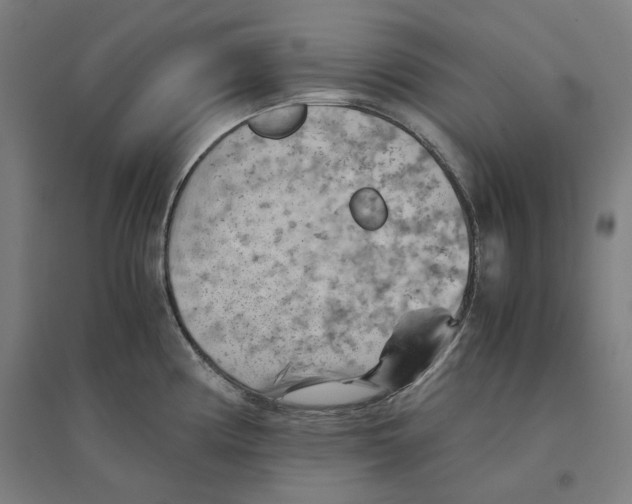 X0000094451194200712061154