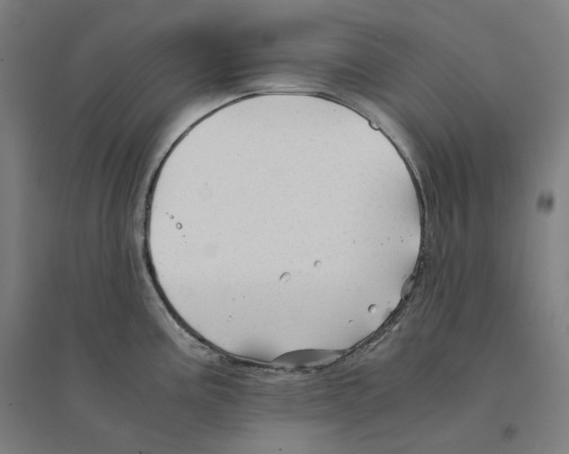 X0000094451195200712061154