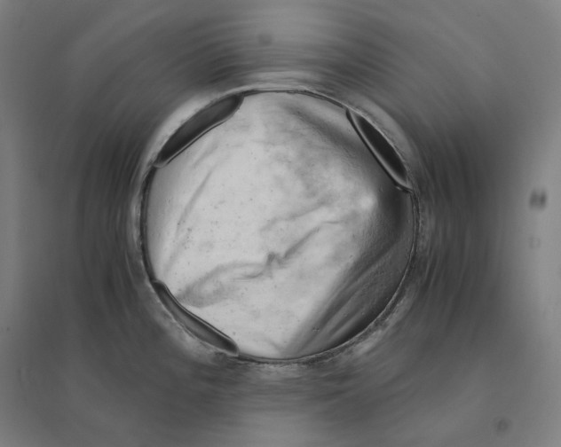 X0000094451196200712061154