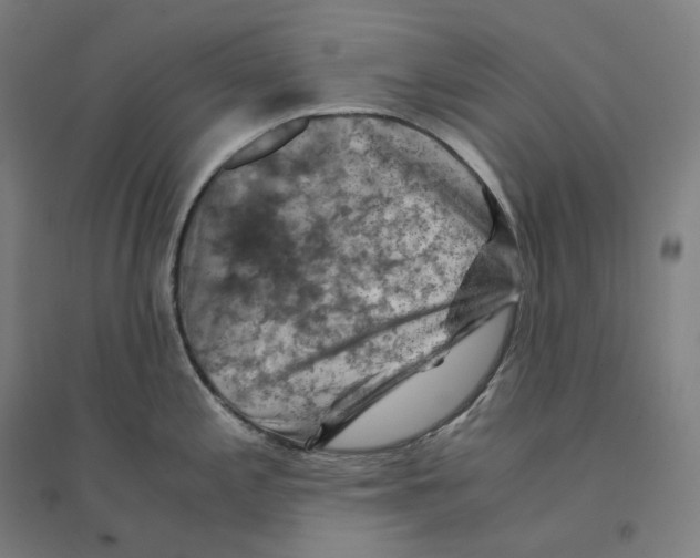 X0000094451197200712061154