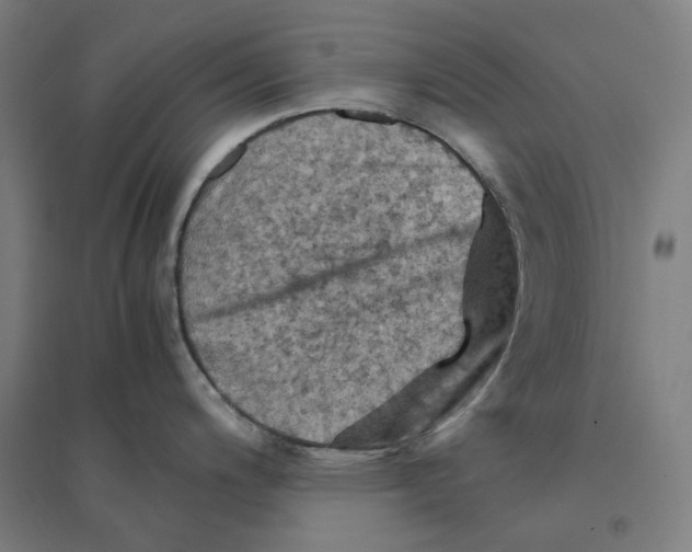 X0000094451200200712061154