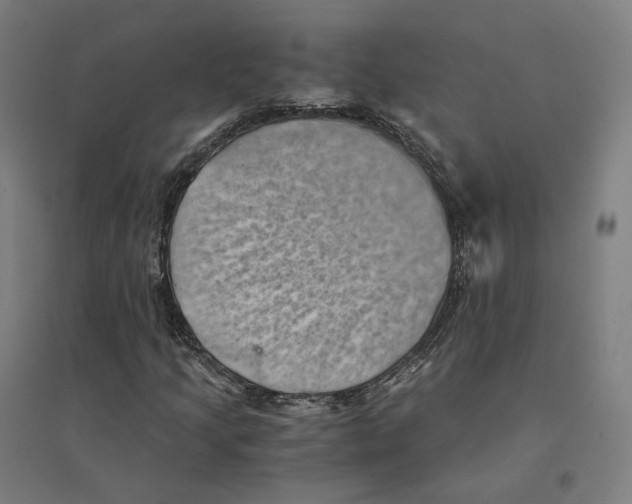 X0000094451205200712061153