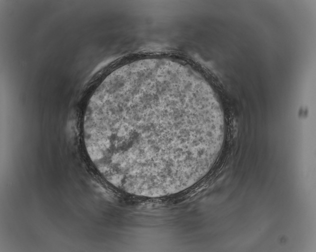 X0000094451206200712061153