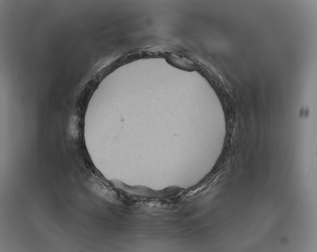 X0000094451207200712061153