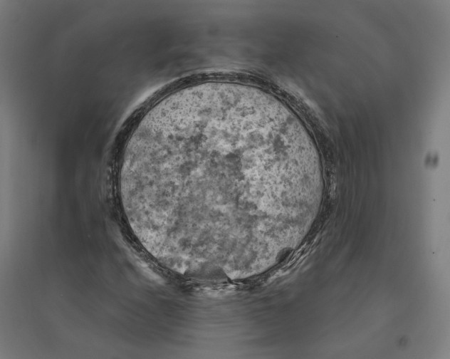 X0000094451208200712061153