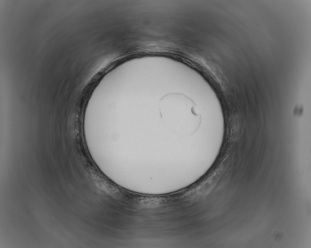 X0000094451211200712061153