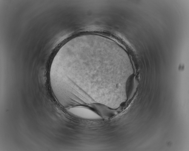 X0000094451213200712061153