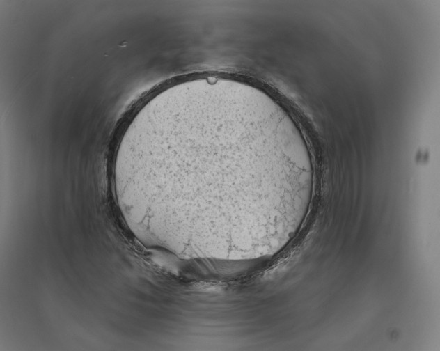 X0000094451214200712061153