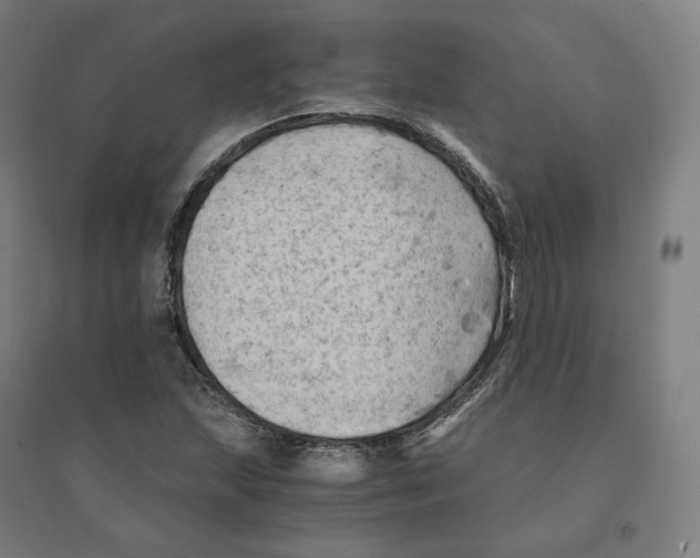 X0000094451215200712061153