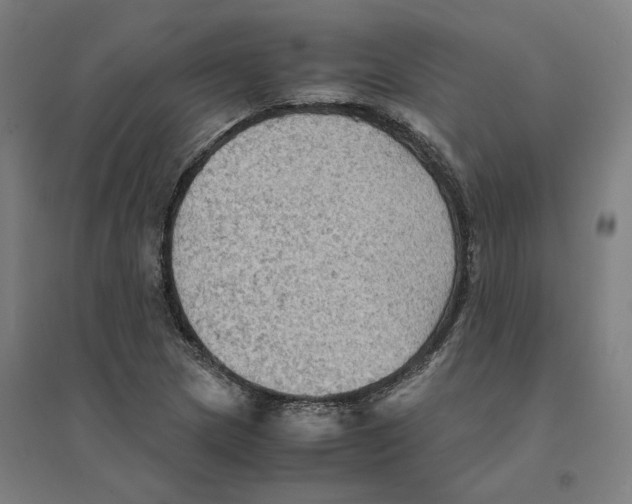 X0000094451217200712061153