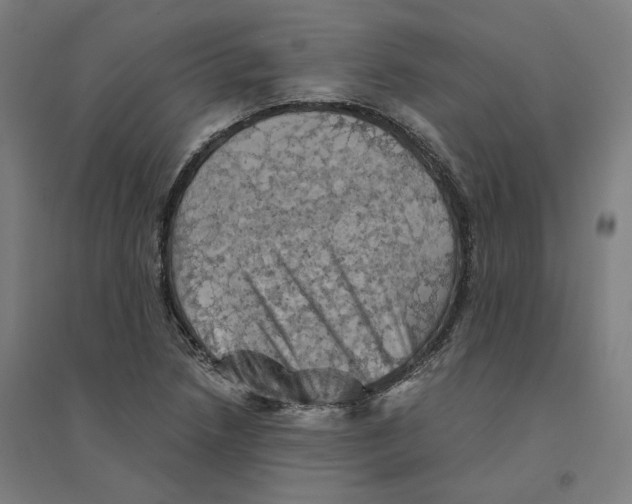 X0000094451218200712061153