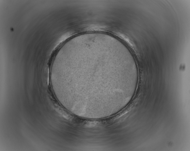 X0000094451219200712061153