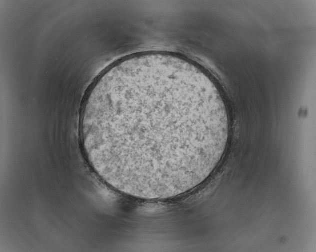 X0000094451220200712061153