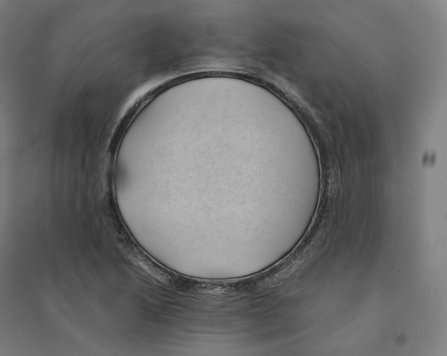 X0000094451222200712061153