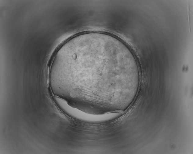 X0000094451223200712061153