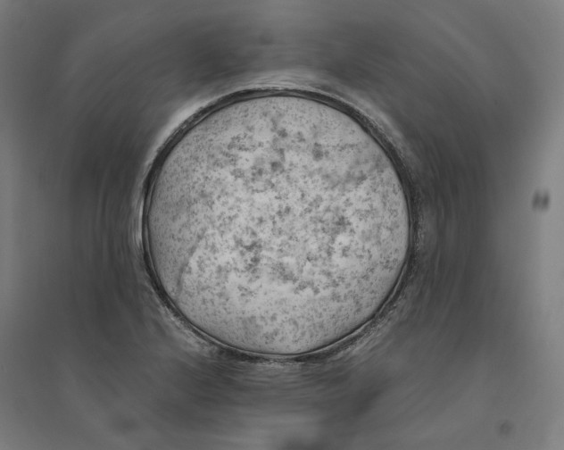 X0000094451224200712061153