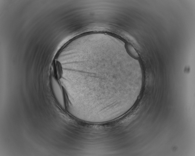 X0000094451226200712061153