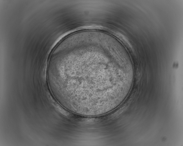 X0000094451228200712061153