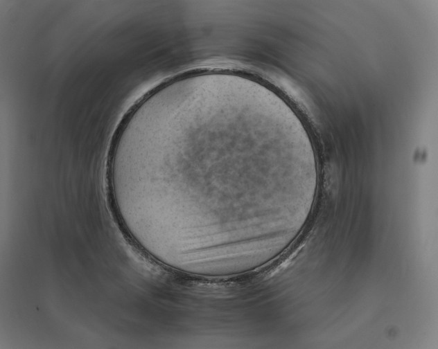 X0000094451229200712061153