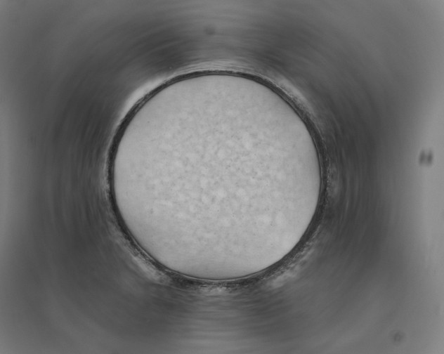 X0000094451230200712061153