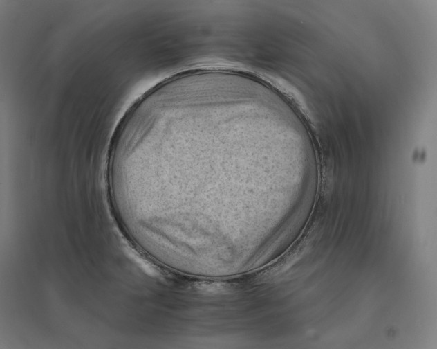 X0000094451231200712061153