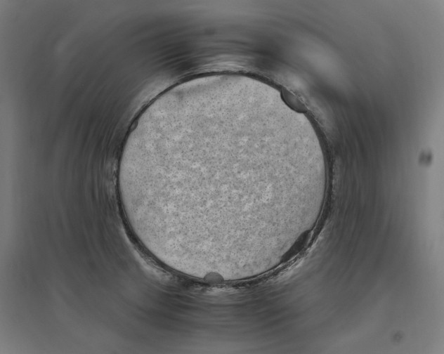 X0000094451233200712061153