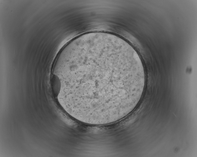 X0000094451234200712061153