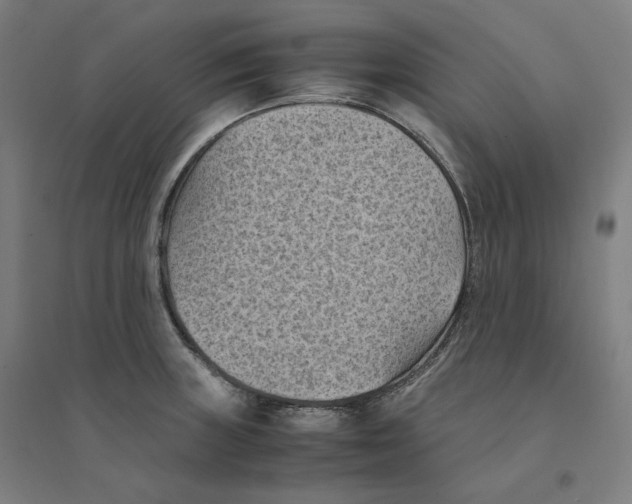 X0000094451235200712061153