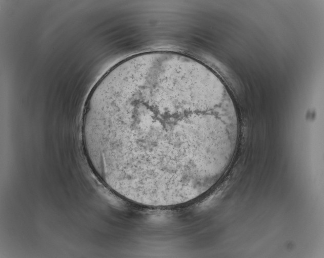 X0000094451236200712061153