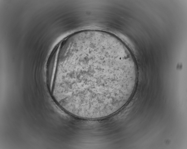 X0000094451238200712061153