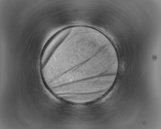 X0000094451239200712061153