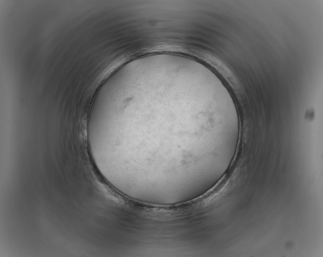 X0000094451241200712061153