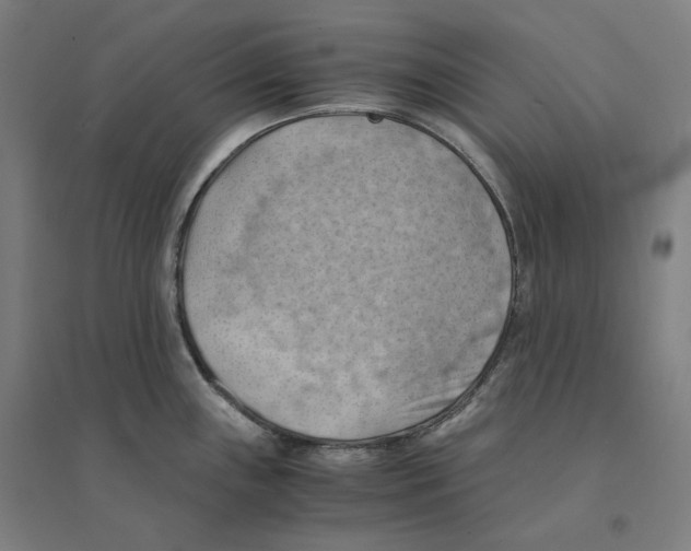 X0000094451243200712061153