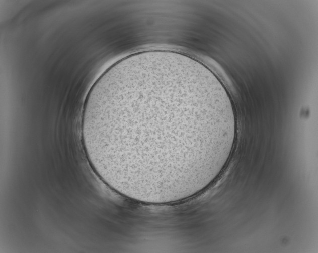 X0000094451244200712061153