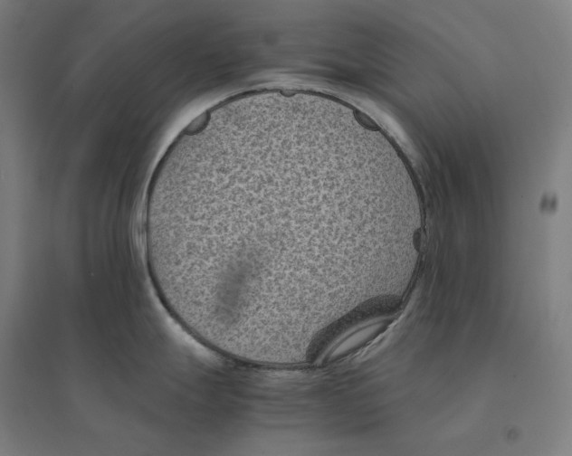 X0000094451247200712061154