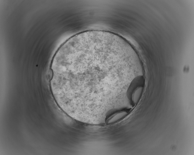 X0000094451248200712061154