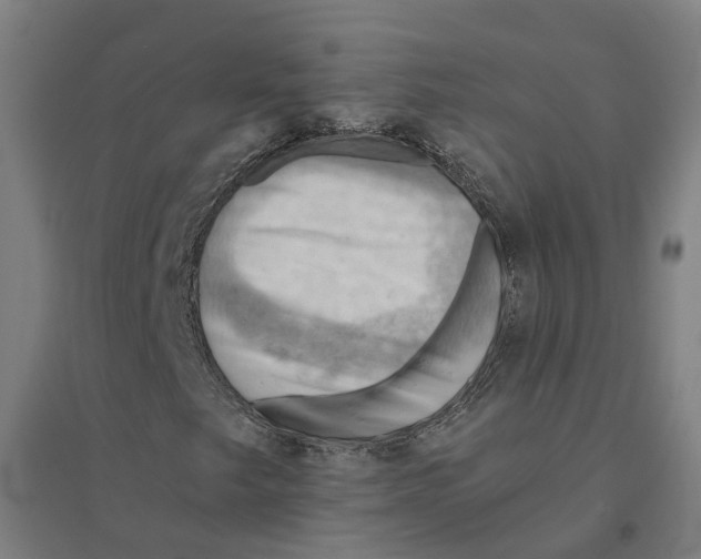 X0000094451249200712061153