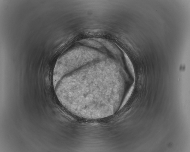 X0000094451250200712061153