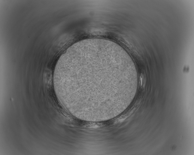 X0000094451251200712061153