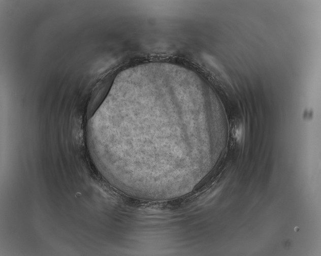 X0000094451252200712061153